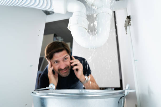 Best Faucet Repair  in Ridge Wood Heights, FL