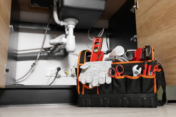 Best Local Plumber Services  in Ridge Wood Heights, FL