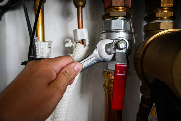 Best Water Heater Repair  in Ridge Wood Heights, FL